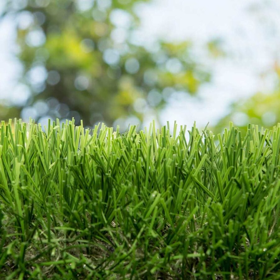 pasto-sintetico-residencial-easygarden-mexico