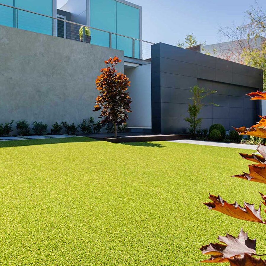 mexico-venta-de-pasto-jardin