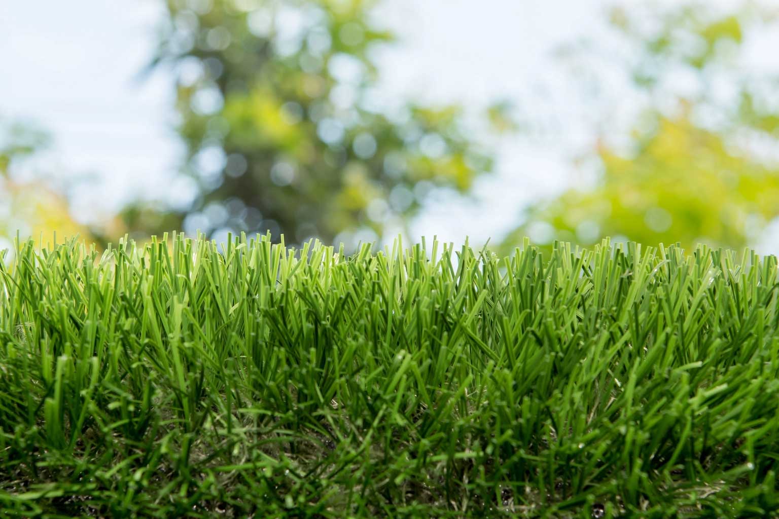 pasto-sintetico-residencial-easygarden-mexico.jpg